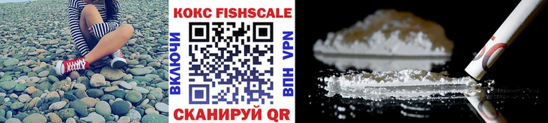 COCAIN Fish Scale купить сайты Майкоп