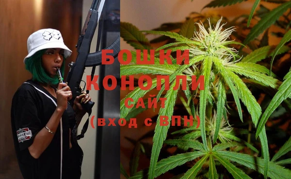 дмт Верея