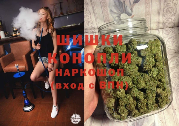 дмт Верея