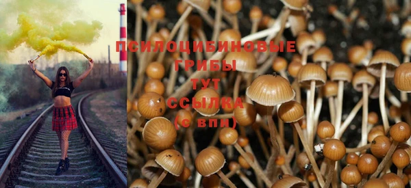 дмт Верея